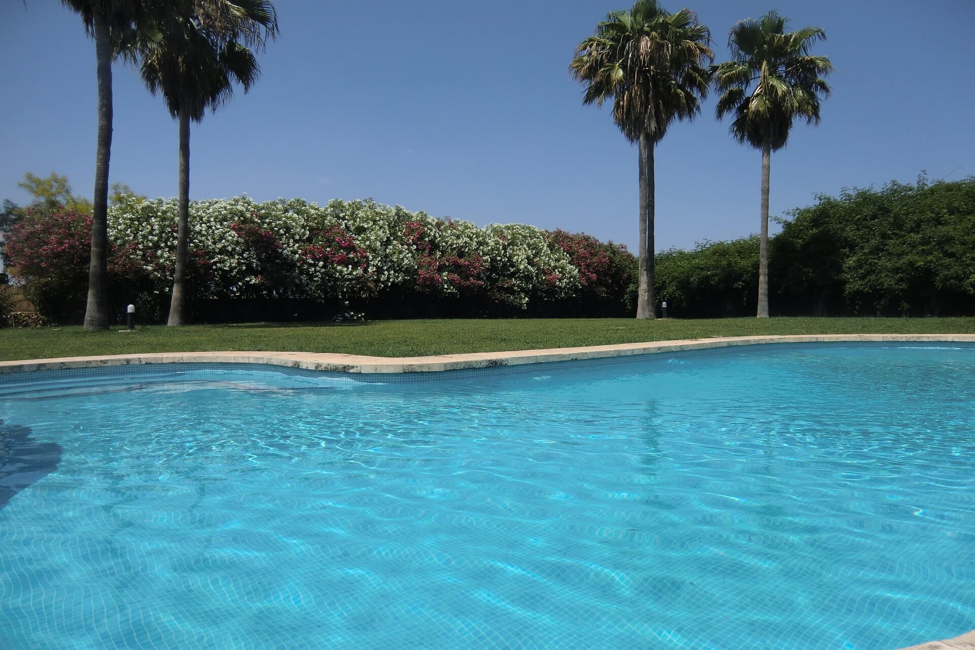 Finca Son Rito - Pool and garden area