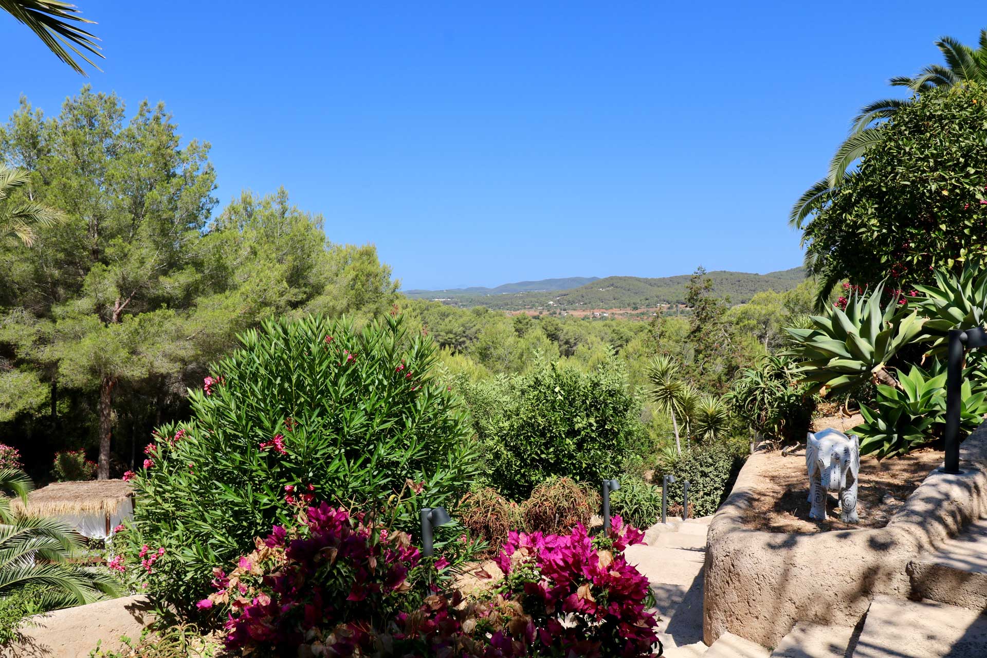 Villa Can Gecko AV Ibiza - Zugang zum Pool
