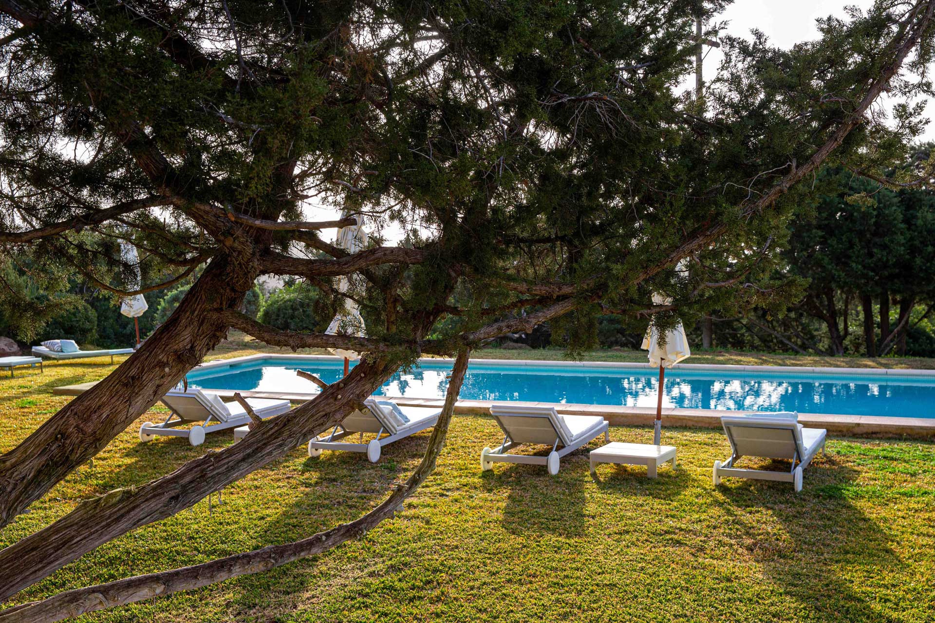 Villa Can Teresita - Swimmingpool & Garten