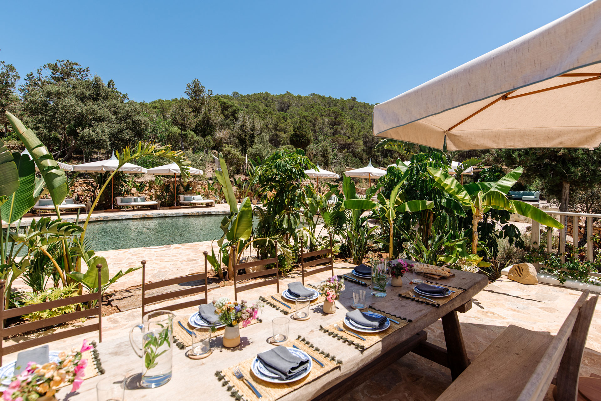 Finca DELICA Ibiza - Swimming pool