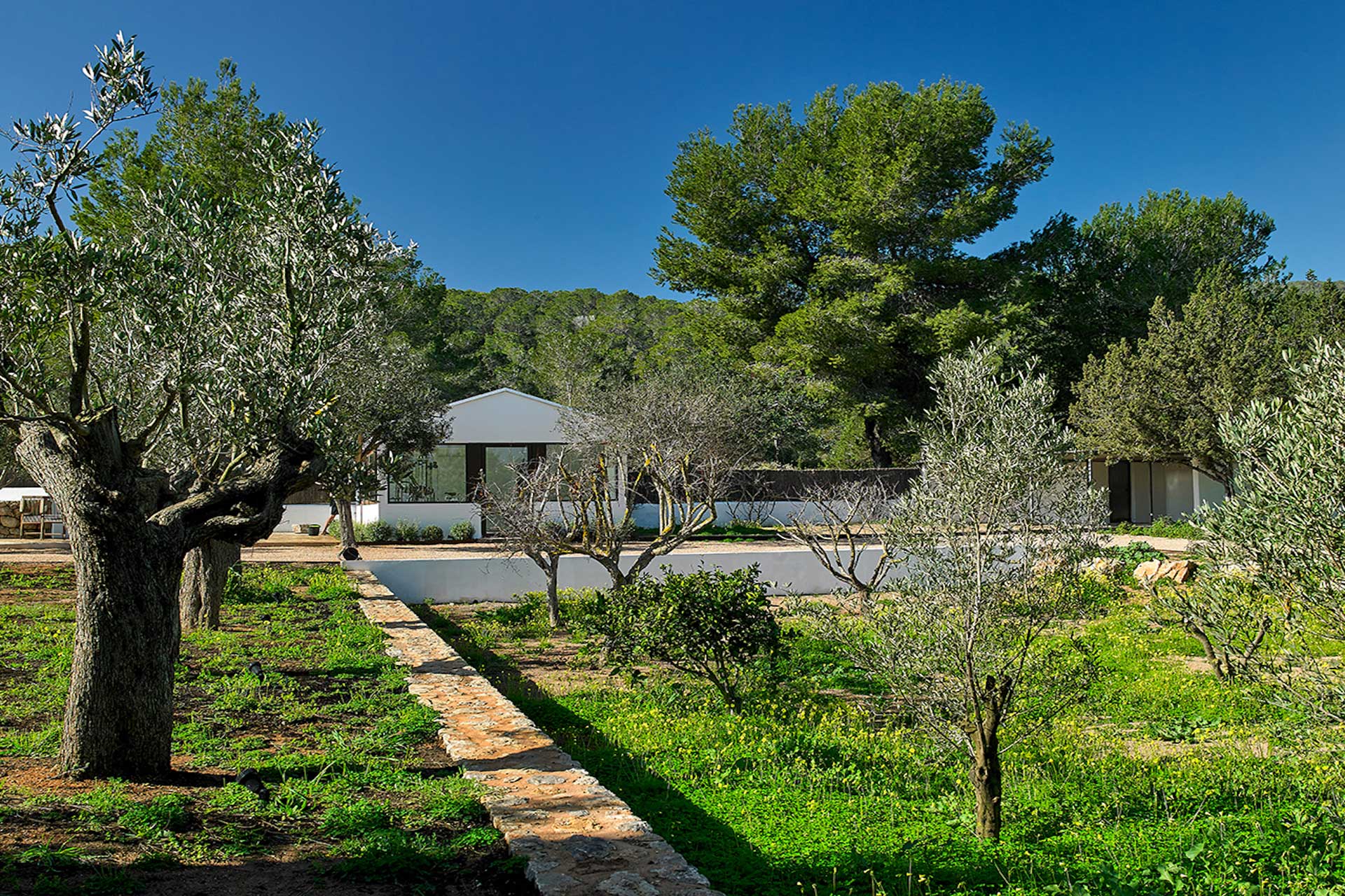 Villa Can Colonia Ibiza - Garten
